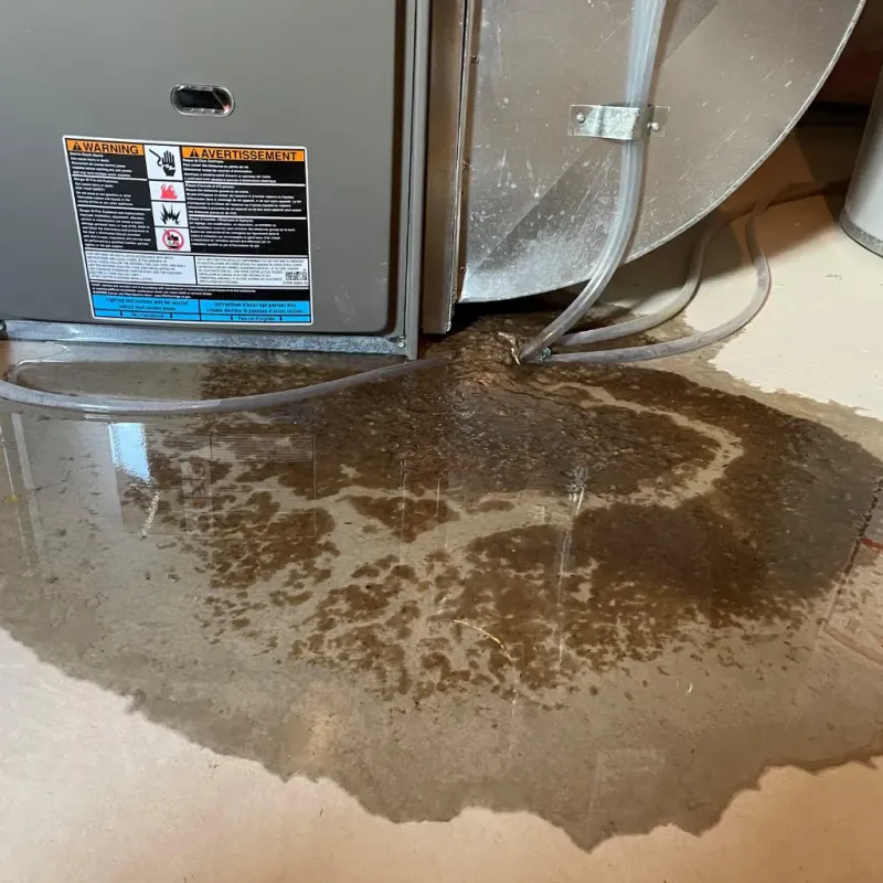 Appliance Leak Cleanup in Santa Fe, TX