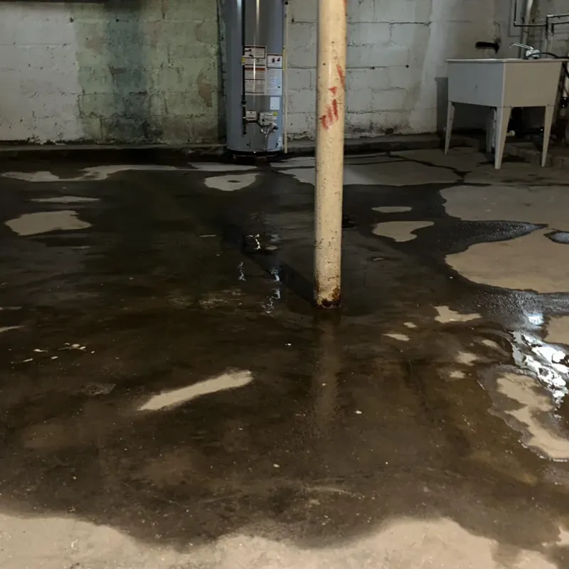 Emergency Water Extraction And Removal in Santa Fe, TX